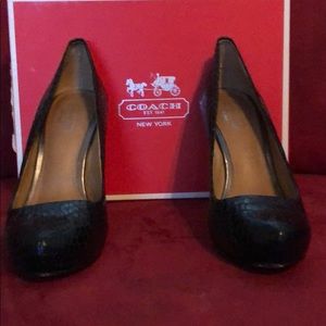Kristina Gloss Snake Coach Heels